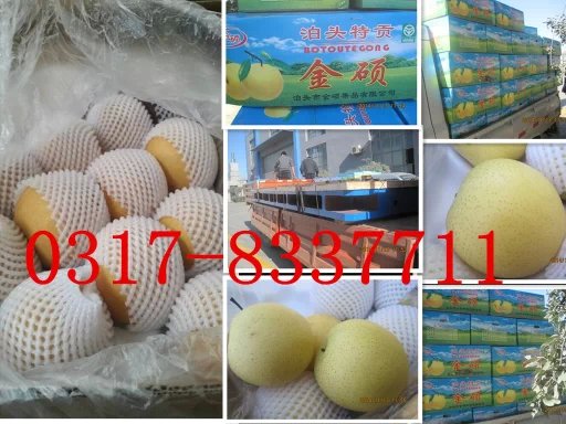 山東威海客戶訂做的鑄鐵平臺和100箱泊頭鴨梨裝車發貨